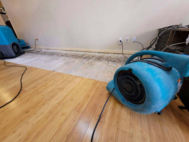 Professional Flood Damage Cleanup technician working in Alton, IL